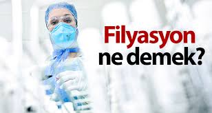 Filyasyon Nedir?